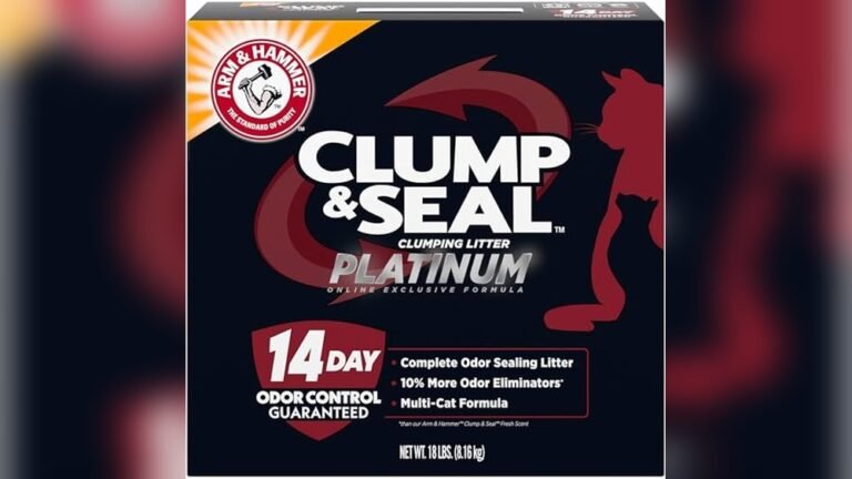 Best Cat Litter for Odor Control