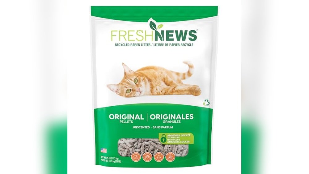 Best Cat Litter for Odor Reddit