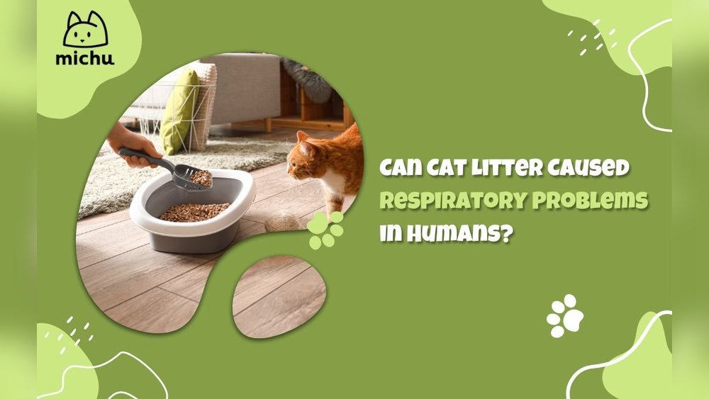 best cat litter for respiratory problems