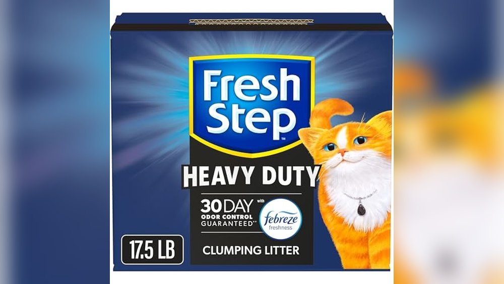 Best Cat Litter for Smell And Clumping
