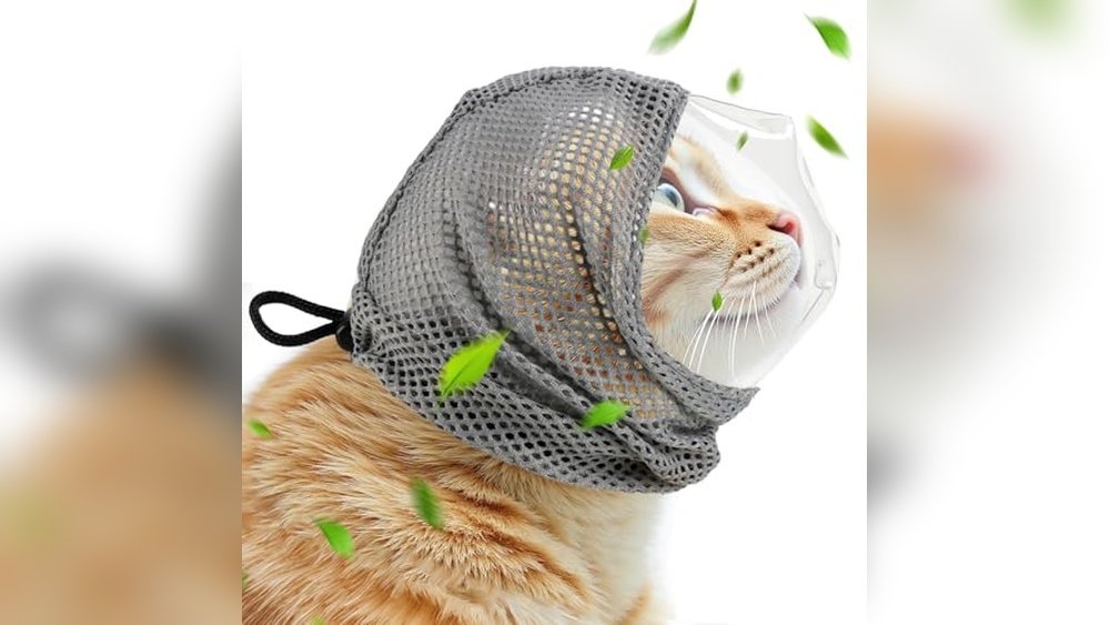 Best Cat Muzzle for Grooming