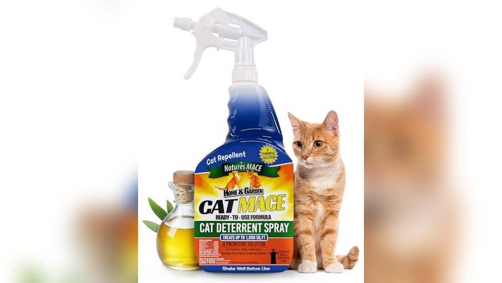 Best Cat Repellent for Outside