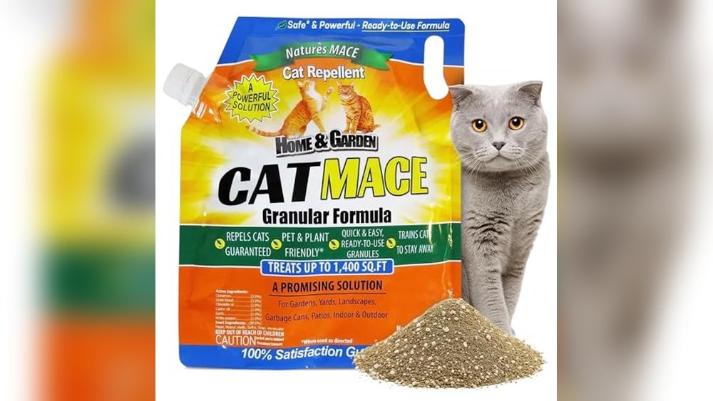 Best Cat Repellent for Yard