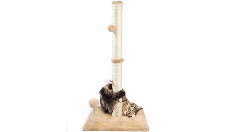 Best Cat Scratching Post for Indoor Cats