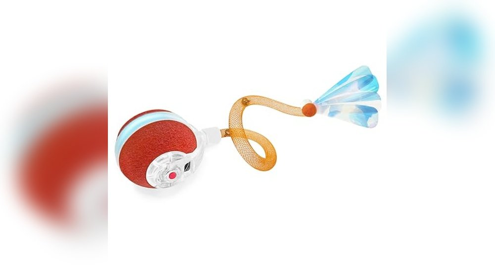 Best Cat Toys for Bored Cats