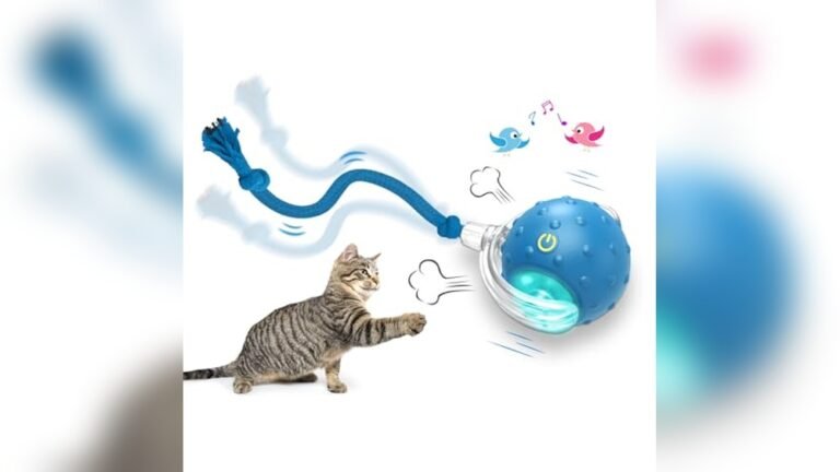 Best Cat Toys for Smart Cats