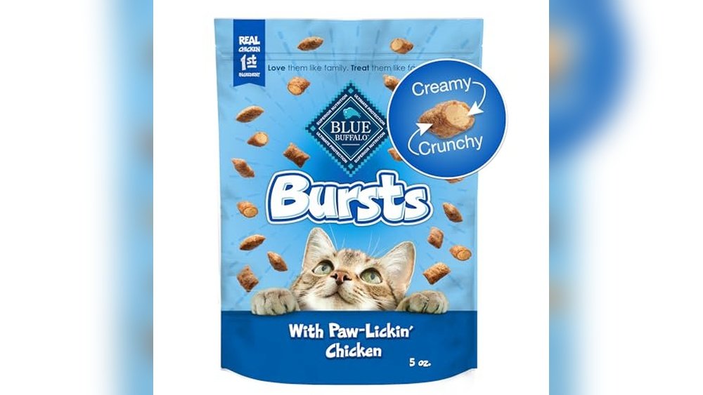 Best Cat Treats for Indoor Cats