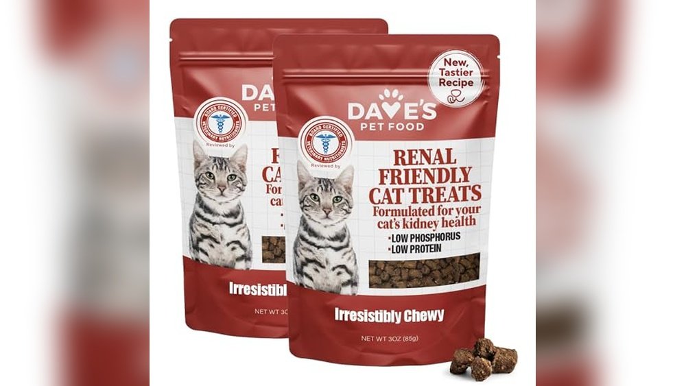 Best Cat Treats for Kidney Disease