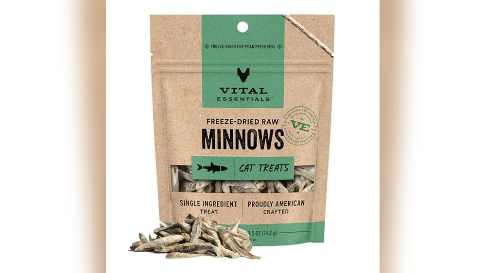 Best Cat Treats for Picky Eaters