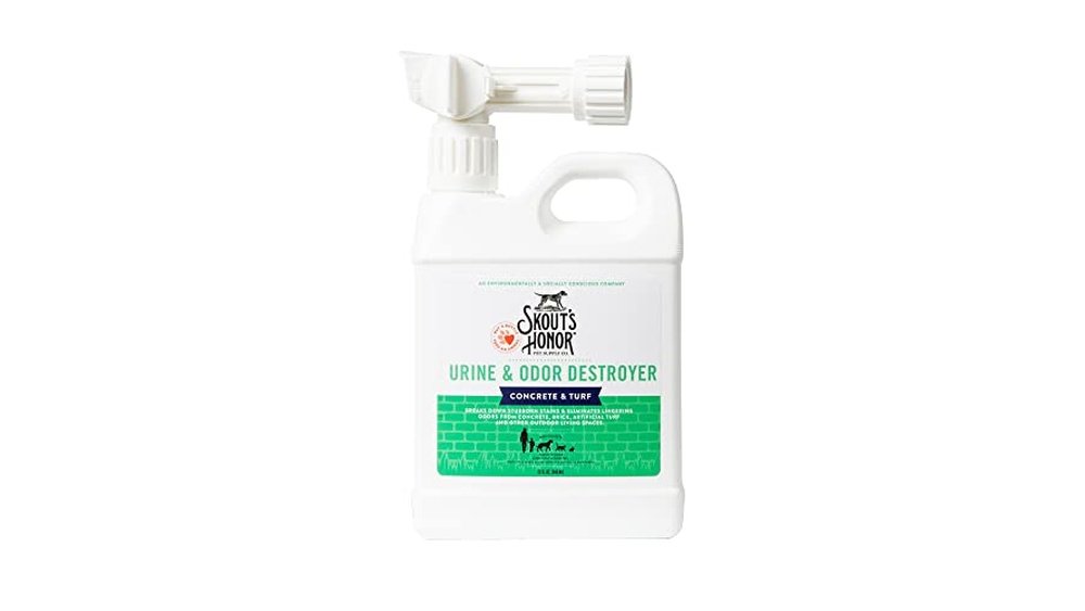 Best Cat Urine Remover for Concrete