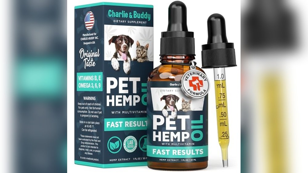 Best Cbd Treats for Cats