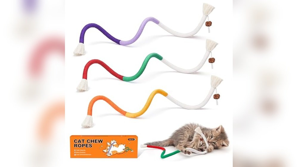 Best Chew Toys for Kittens
