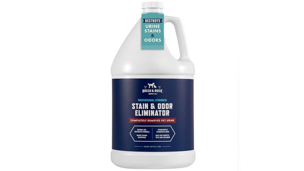 Best Cleaner for Urine Smell