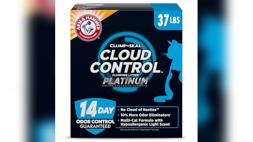 Best Clumping Cat Litter for Odor Control 2025