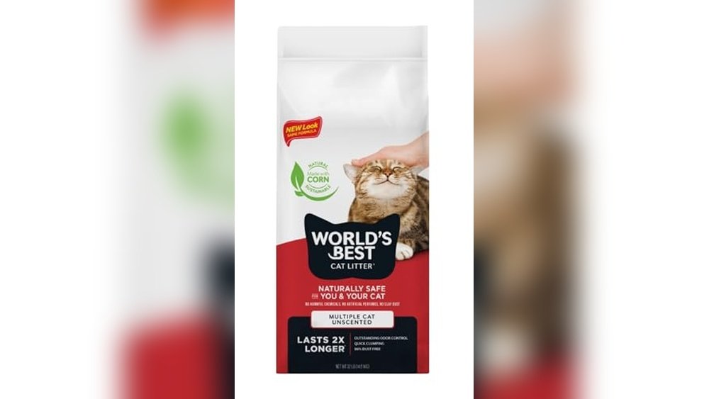 Best Clumping Kitty Litter for Multiple Cats