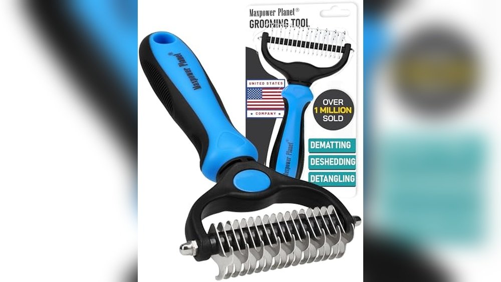 Best Deshedding Brush for Long Hair Cats