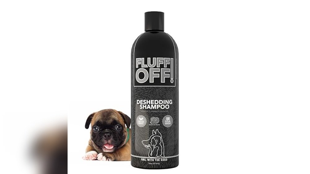 Best Deshedding Shampoo for Cats