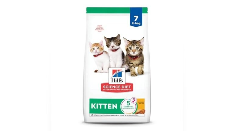 Best Diet for Kittens