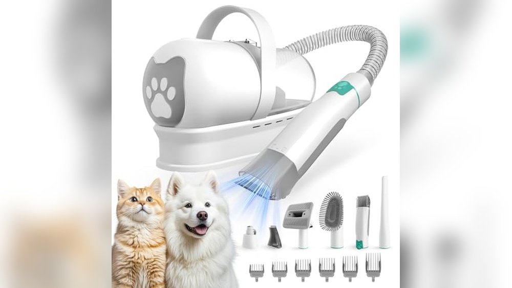 Best Dog Groomers for Senior Dogs near Me