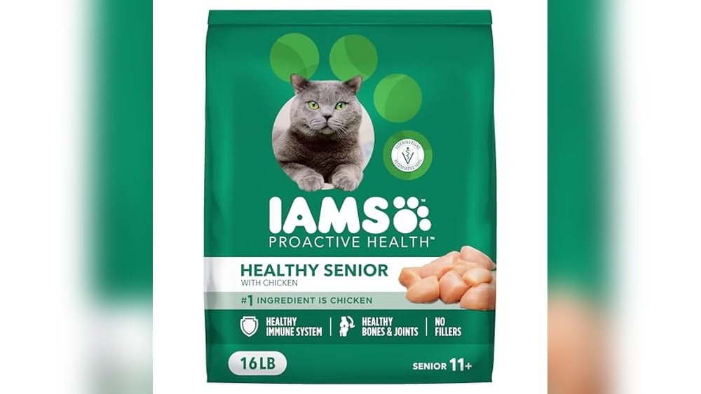 Best Dry Cat Food for Arthritis