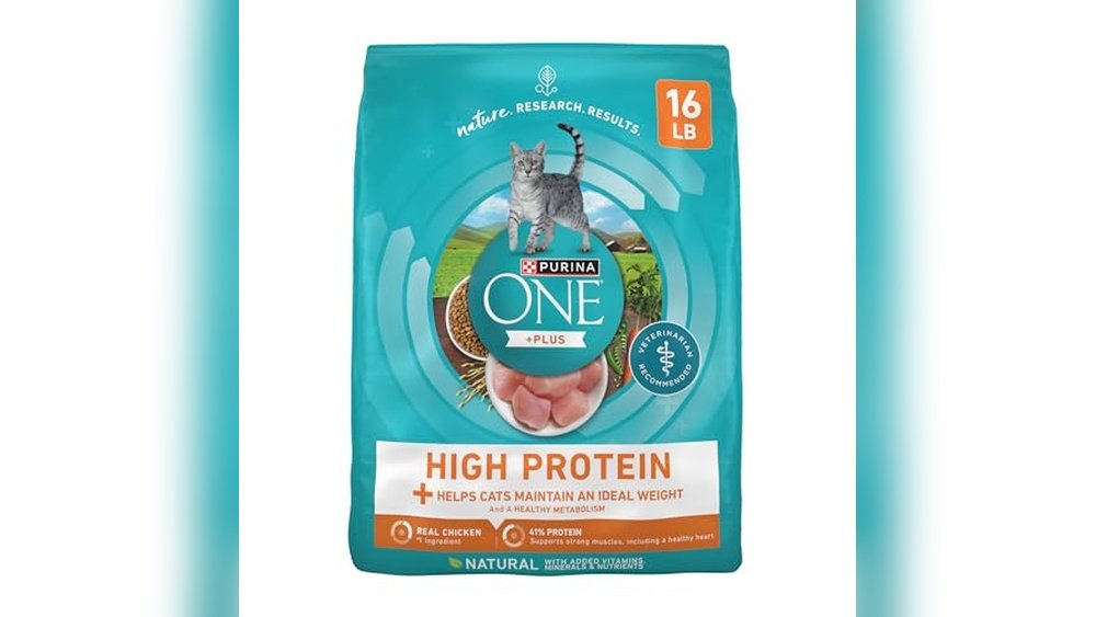 Best Dry Cat Food for Weight Gain