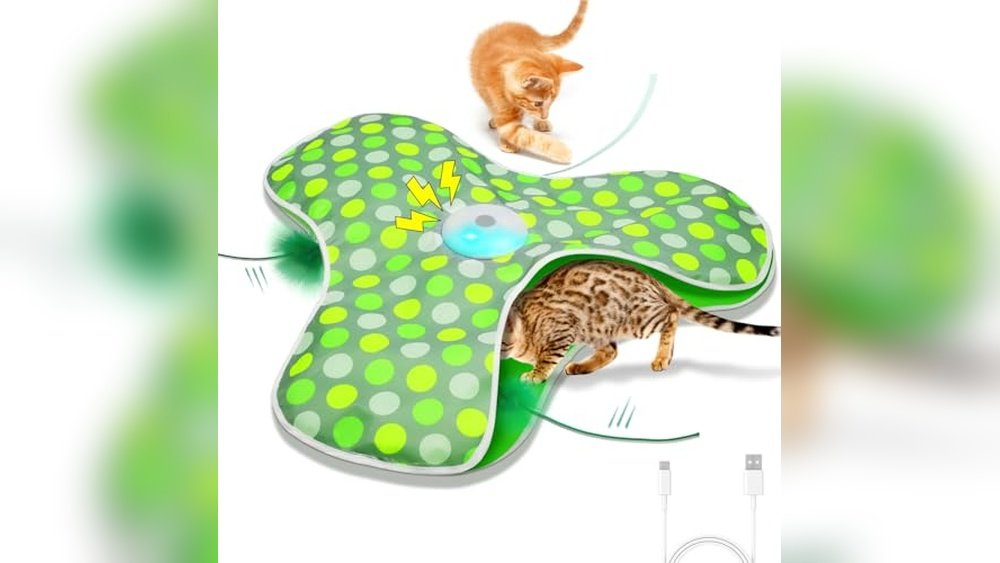 Best Electronic Toys for Cats