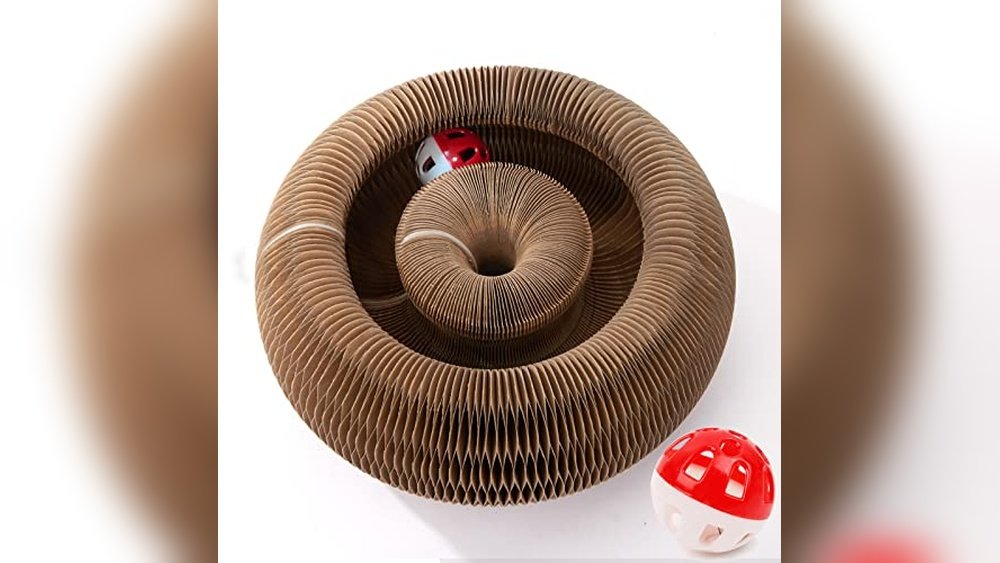 Best Exercise for Indoor Cats