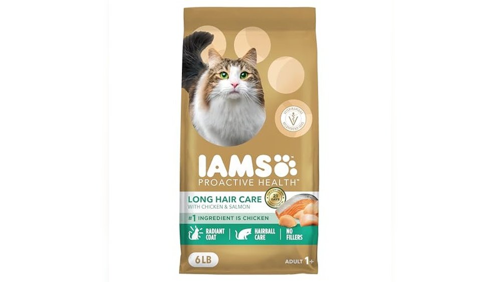 Best Food for Long Hair Cats