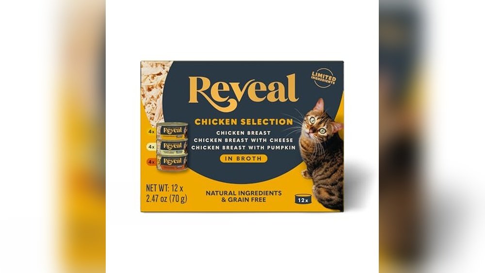 Best Fresh Food for Cats