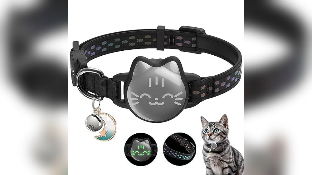 Best Gps Collar for Cats