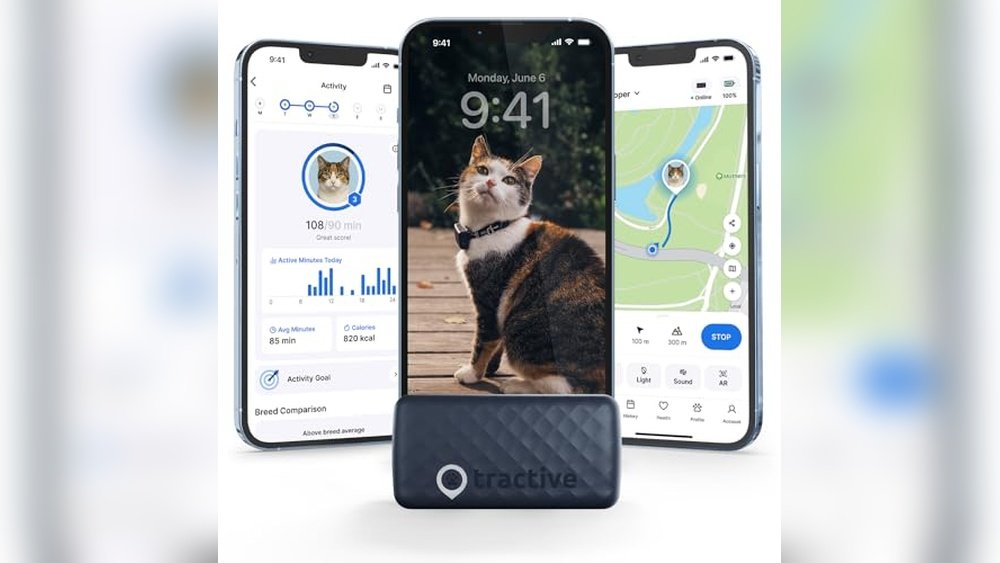 Best Gps Tracker for Cats