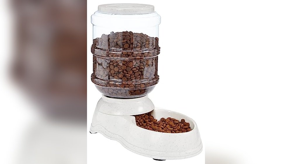 Best Gravity Feeder for Cats