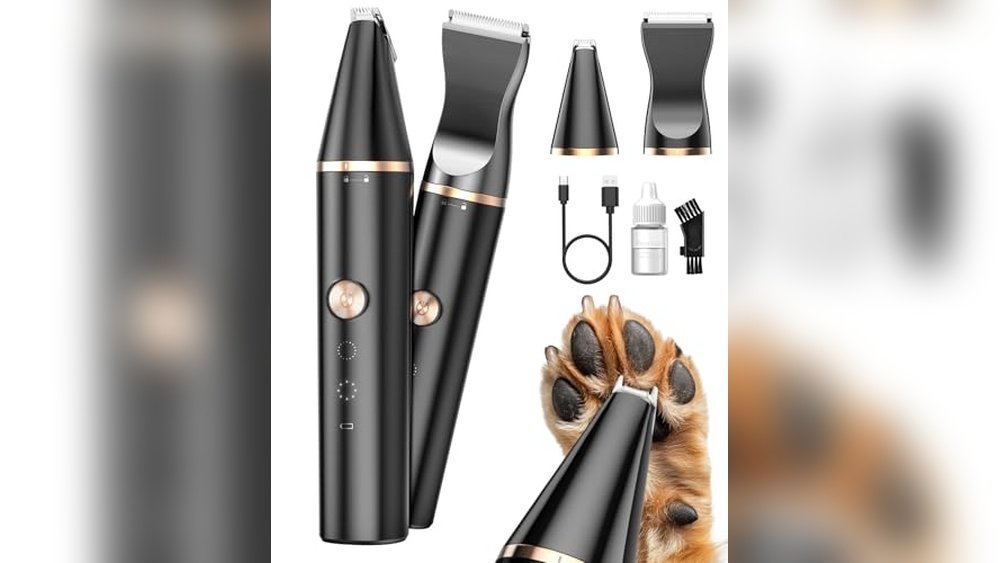 Best Grooming for Cats near Me