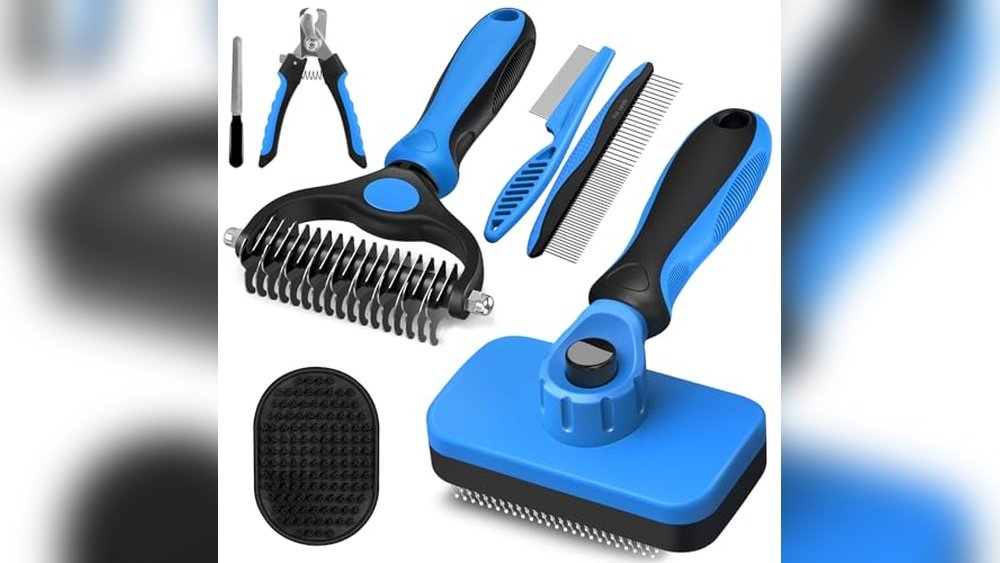 Best Grooming Kit for Cats