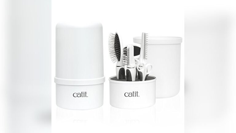 Best Grooming Kit for Long Haired Cats