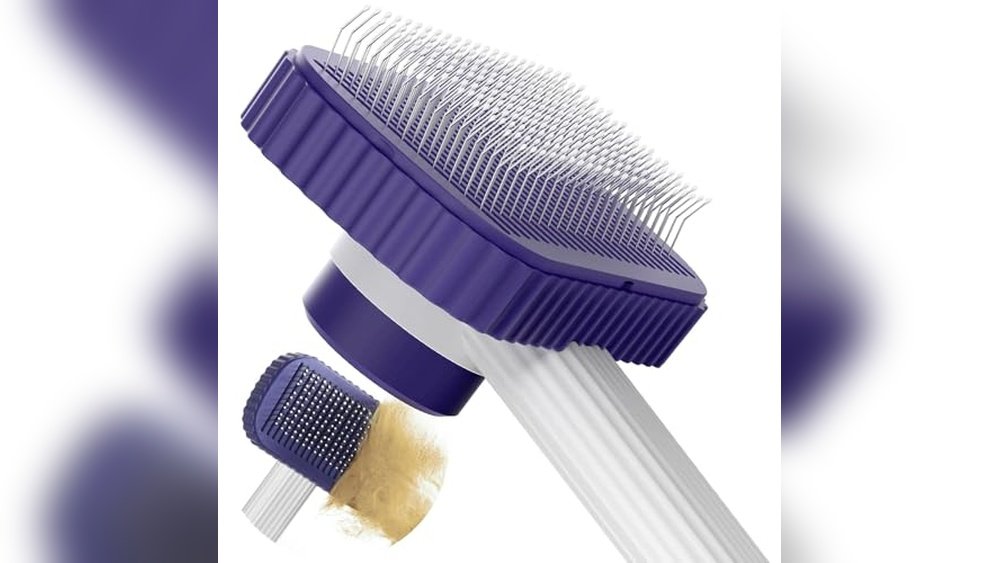 Best Grooming Products for Maine Coon Cat on Chewy