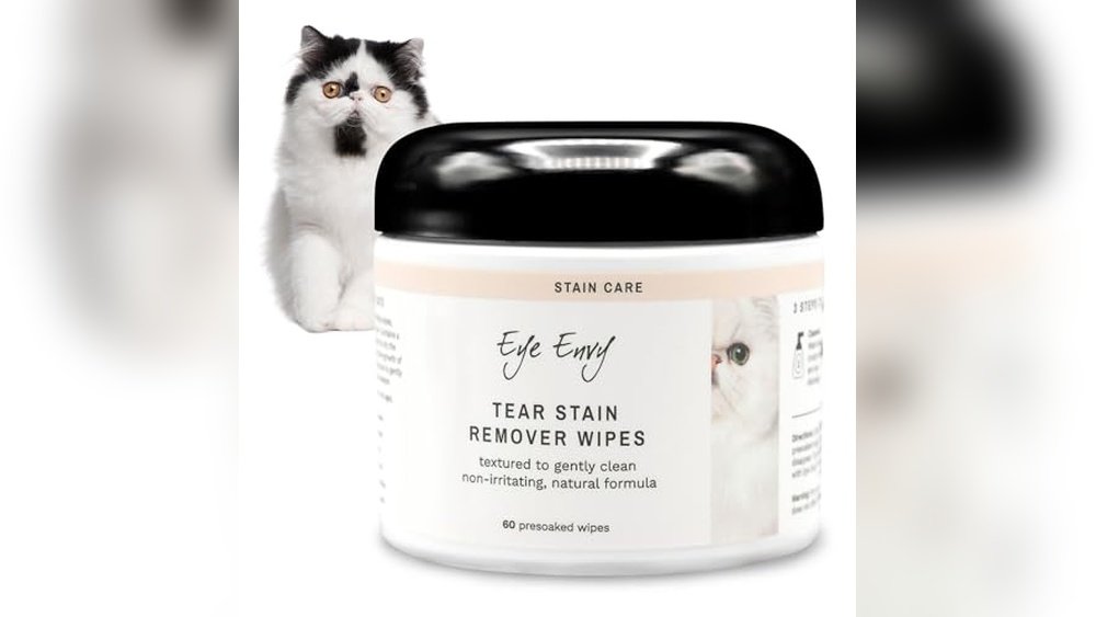 Best Grooming Products for Persian Cats