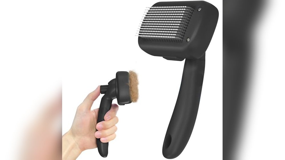 Best Grooming Tools for Short Haired Cats