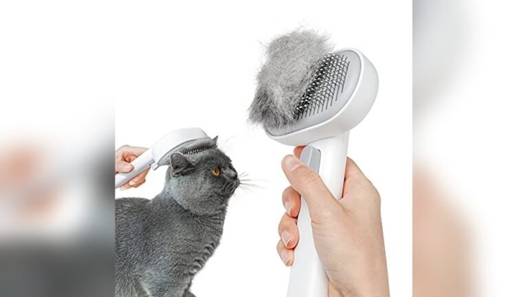 Best Hair Brush for Cats