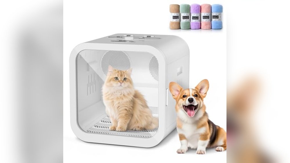 Best Hair Dryer for Persian Cat Grooming