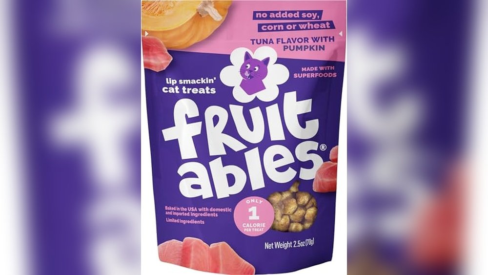 Best Healthy Snacks for Cats