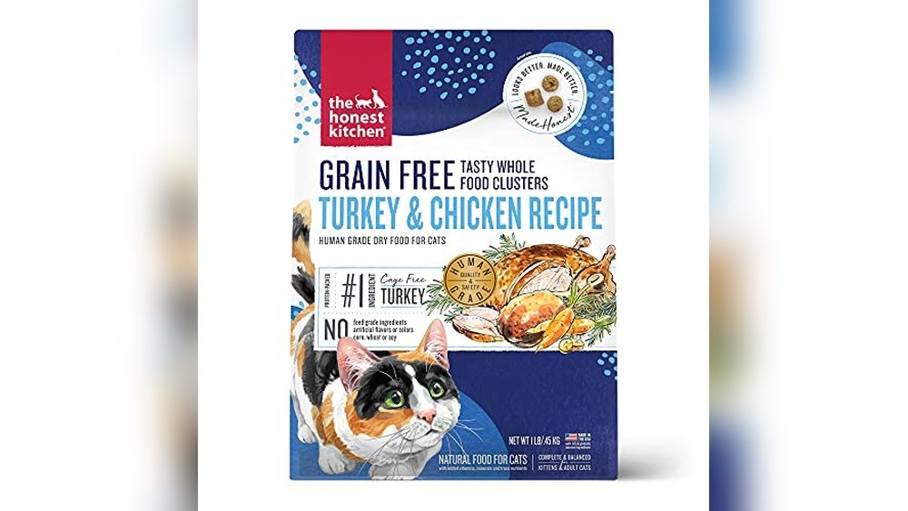 Best Human Food for Cats