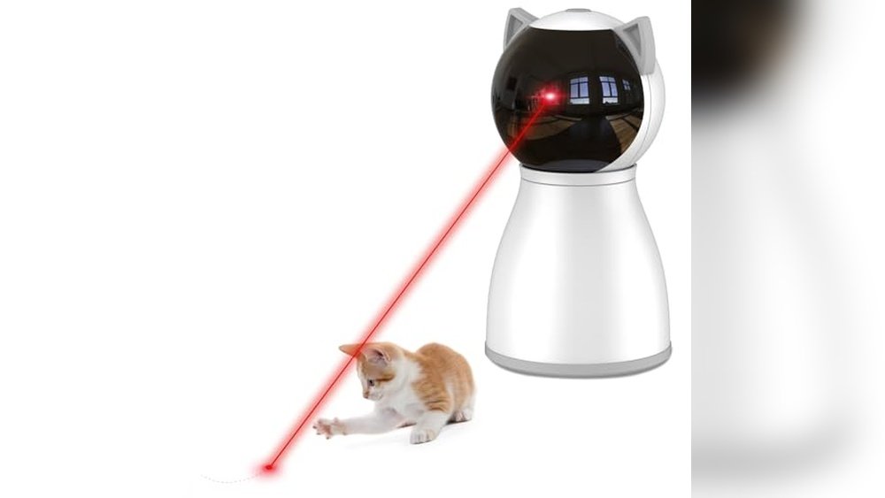 Best Laser Toys for Cats