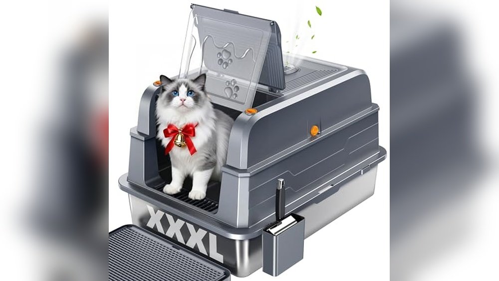 Best Litter Box for Cats Reddit