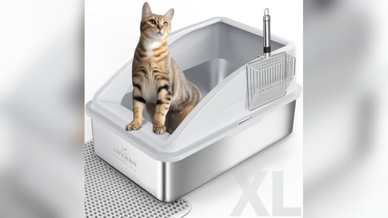 Best Litter Box for Cats That Pee High