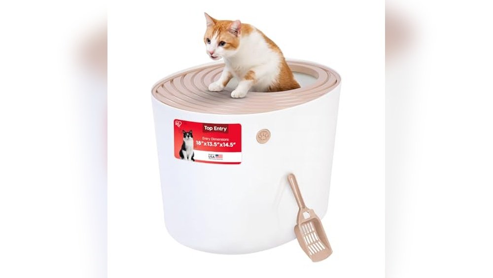 Best Litter Box for Cats Who Kick Litter