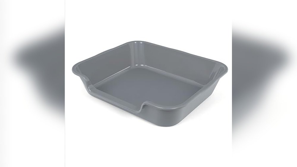 Best Litter Box for Elderly Cat