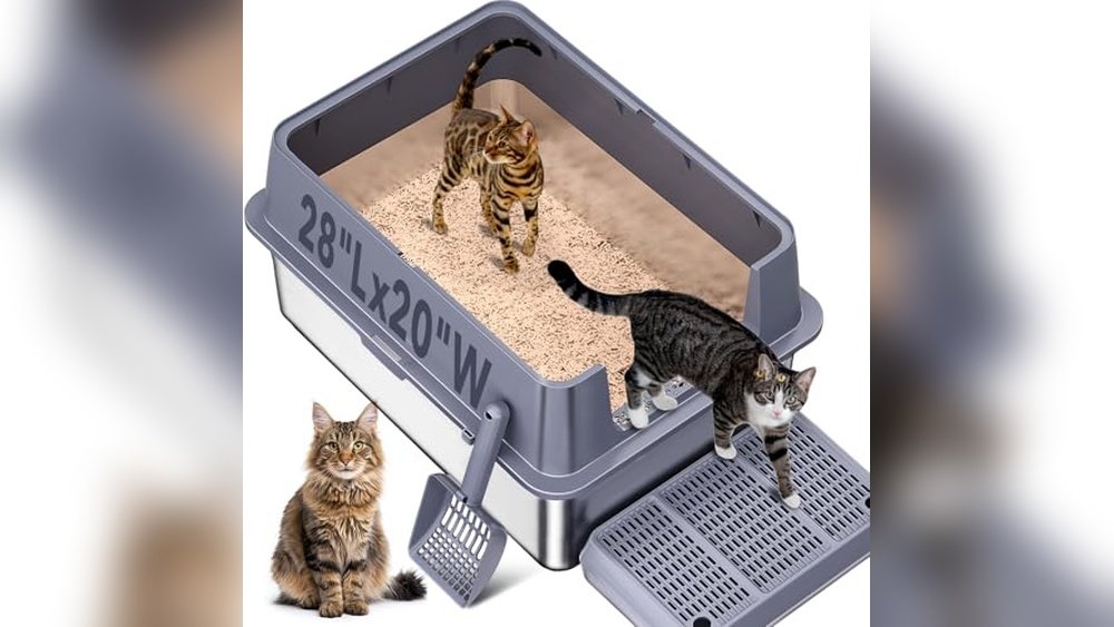 Best Litter Box for Maine Coon Cat