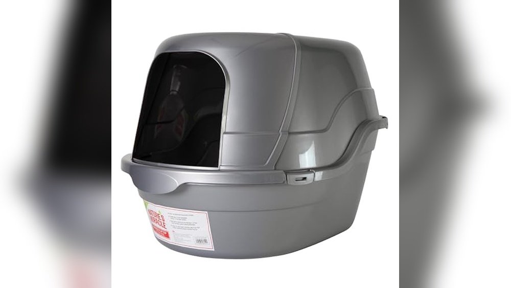 Best Litter Box for Odor Control