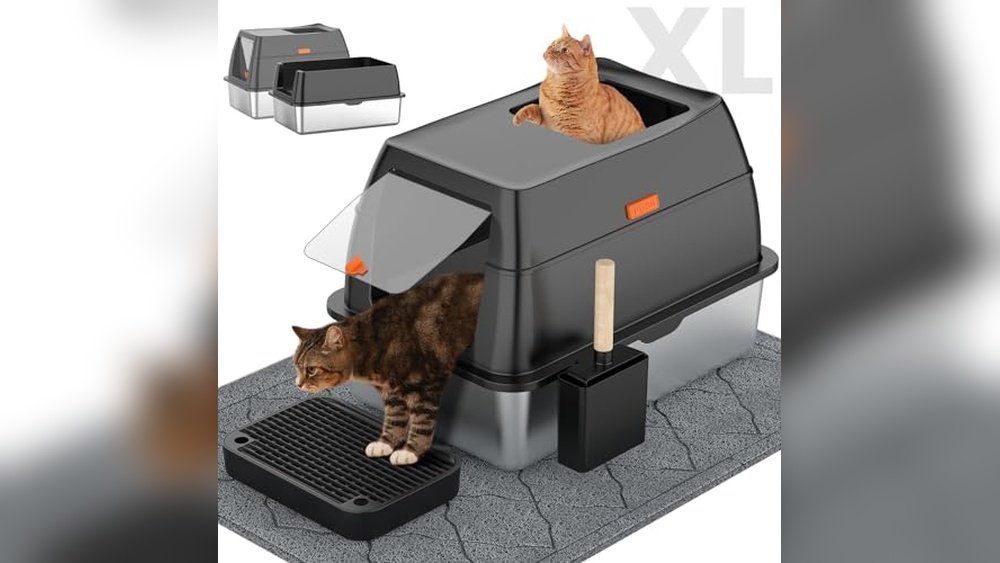 Best Litter Boxes for Multiple Cats
